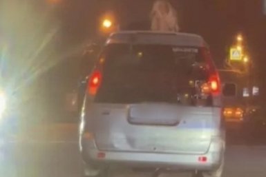 Водителя из Уссурийска оштрафовали за выглядывающего из люка машины пассажира