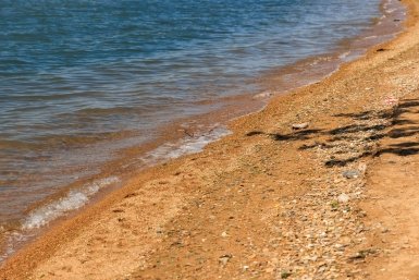 Единый билет "поезд + автобус" запущен до морских баз Хасанского округа