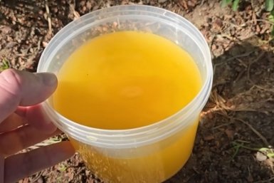 Не смесь, а ракетное топливо для огурцов: 9 зеленцов на ветке, яркие, как на картинке