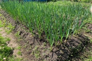 Тематическое фото Фото автора