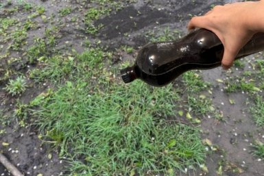Никакой химии и прополки: вот как я убираю сорняки с грядок за один раз