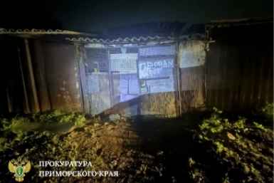 Сарай, куда отвезли школьника прокуратура Приморского края в МАХ (12+)