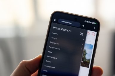Картина дня: застройка берегов Золотого Рога, День тигра и первые приморские грибы
