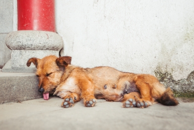 Удушающая жара накроет Приморье в ближайшие часы - что по прогнозу