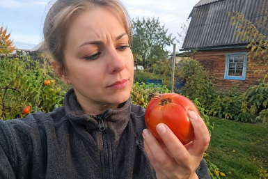 Тематическое фото сгенерировано при помощи ИИ
