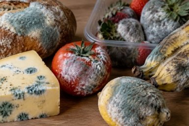 Белый пушок на еде: срезать бесполезно — вот список продуктов, которые от плесени спасти нельзя