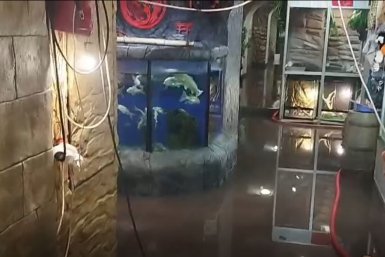 Кадр из видео ТГК &quotАрхипелаг развлечений&quot (18+)
