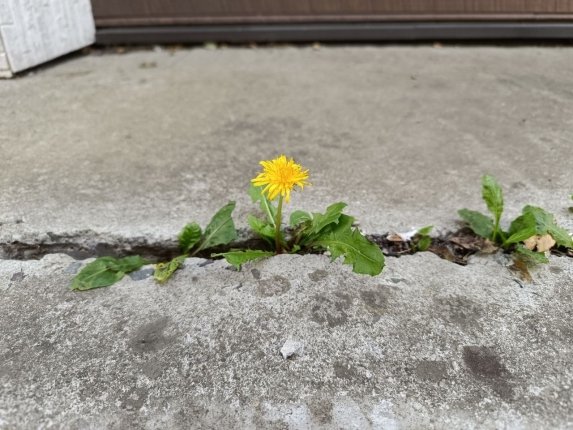 Активные выходные в Уссурийске: «на шарах» - весело, азартно, полезно и романтично