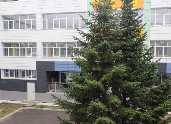 Новость дня