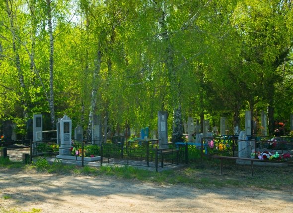 В регионах России просят не оставлять еду на кладбищах из-за медведей