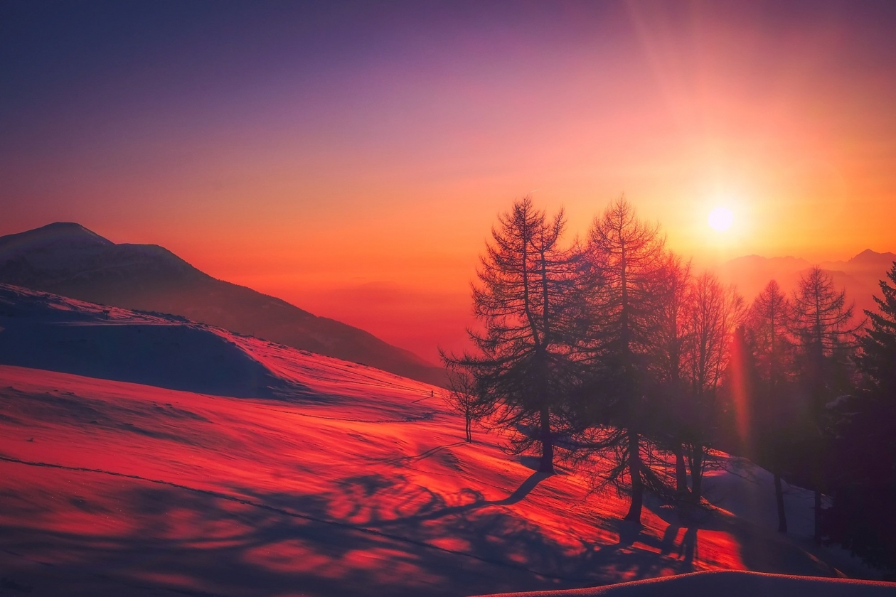 Тематическое фото pixabay.com
