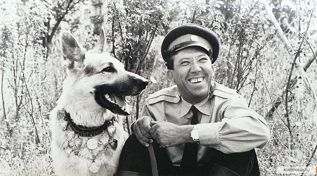 Юрий Никулин и Мухтар кадр из фильма &quotКо мне, Мухтар!&quot (12+), 1965 год