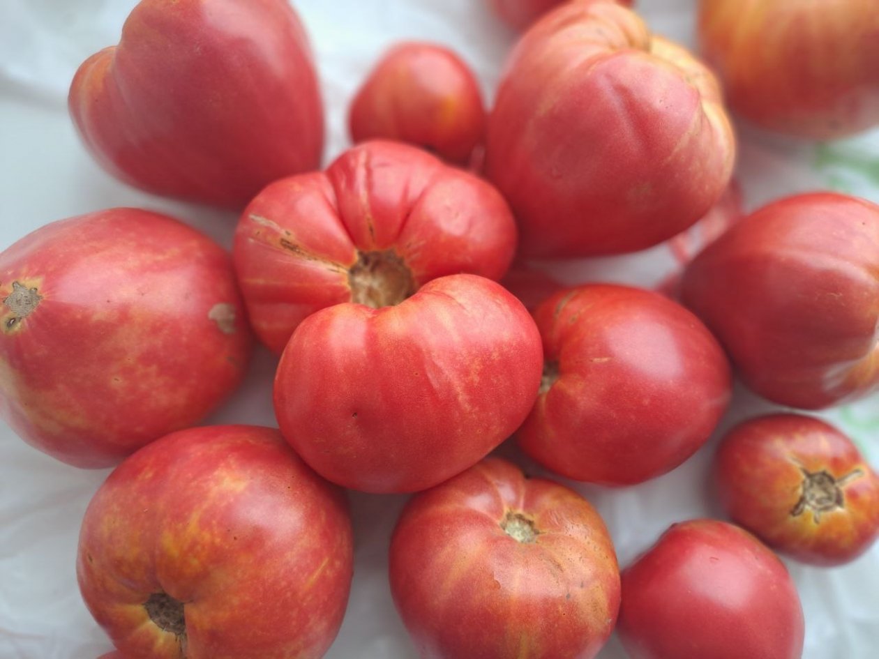 Тематическое фото ИА UssurMedia