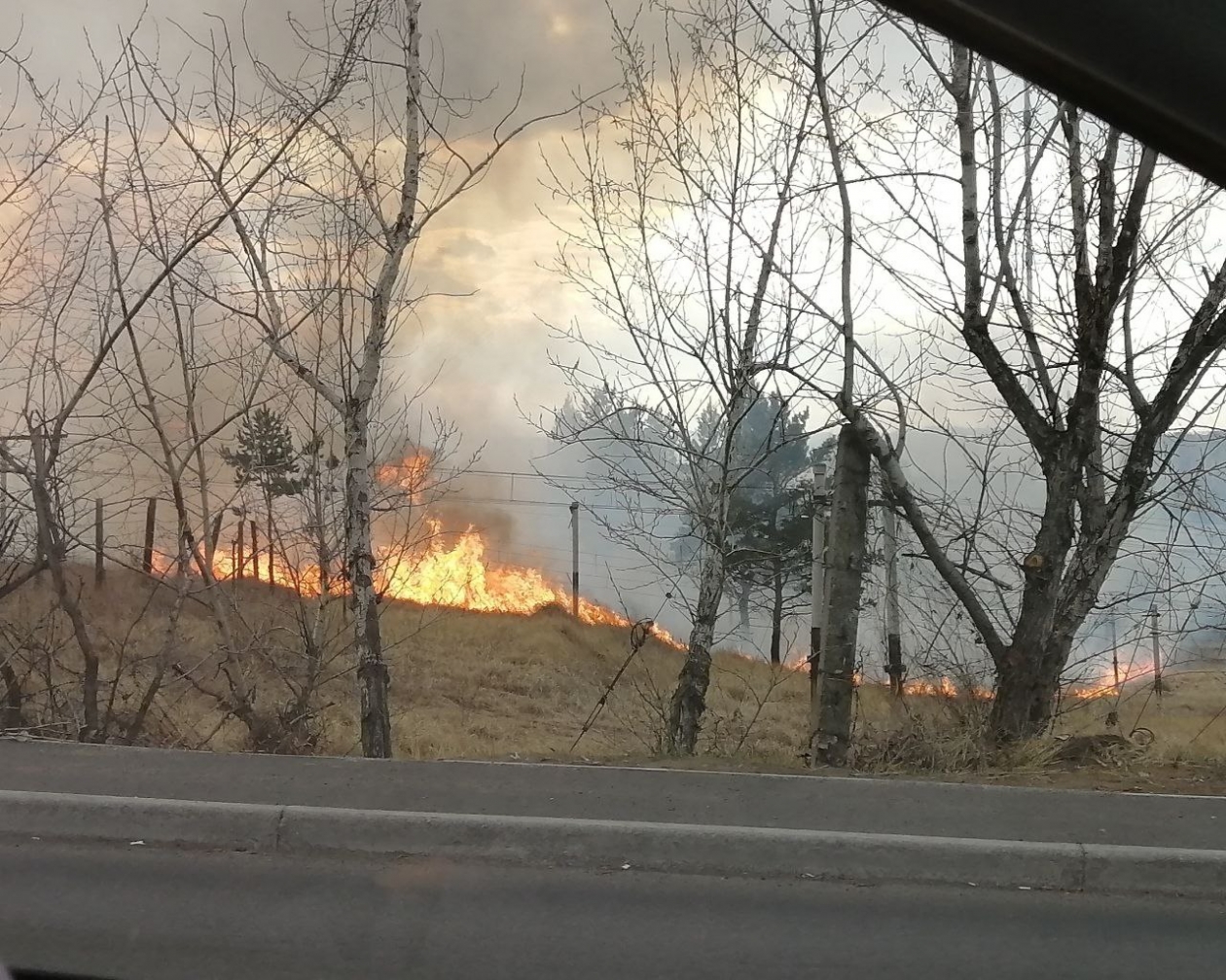 Тематическое фото Абрамченко Анета, ChitaMedia