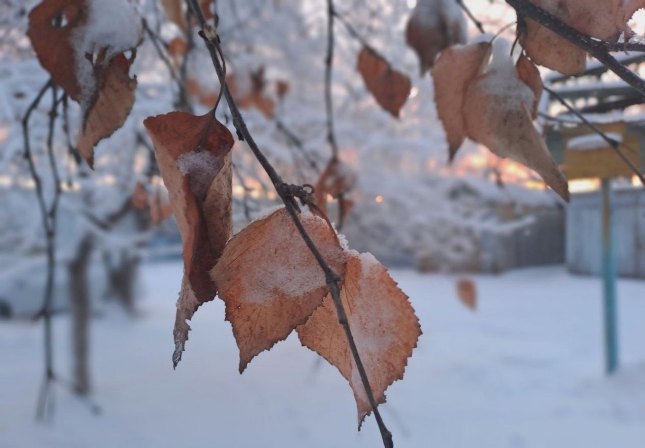 Подморозит Ольга Долгополова, ИА UssurMedia