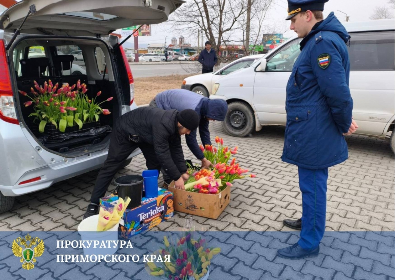 Прокуратура контролирует пресечение массовой незаконной торговли цветами к 8 Марта Tg-канал (18+) прокуратуры Приморского края