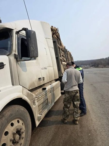 Госавтоинспекция Приморья нашла более сотни нарушений грузовиков Госавтоинспекция УМВД России по Приморскому краю