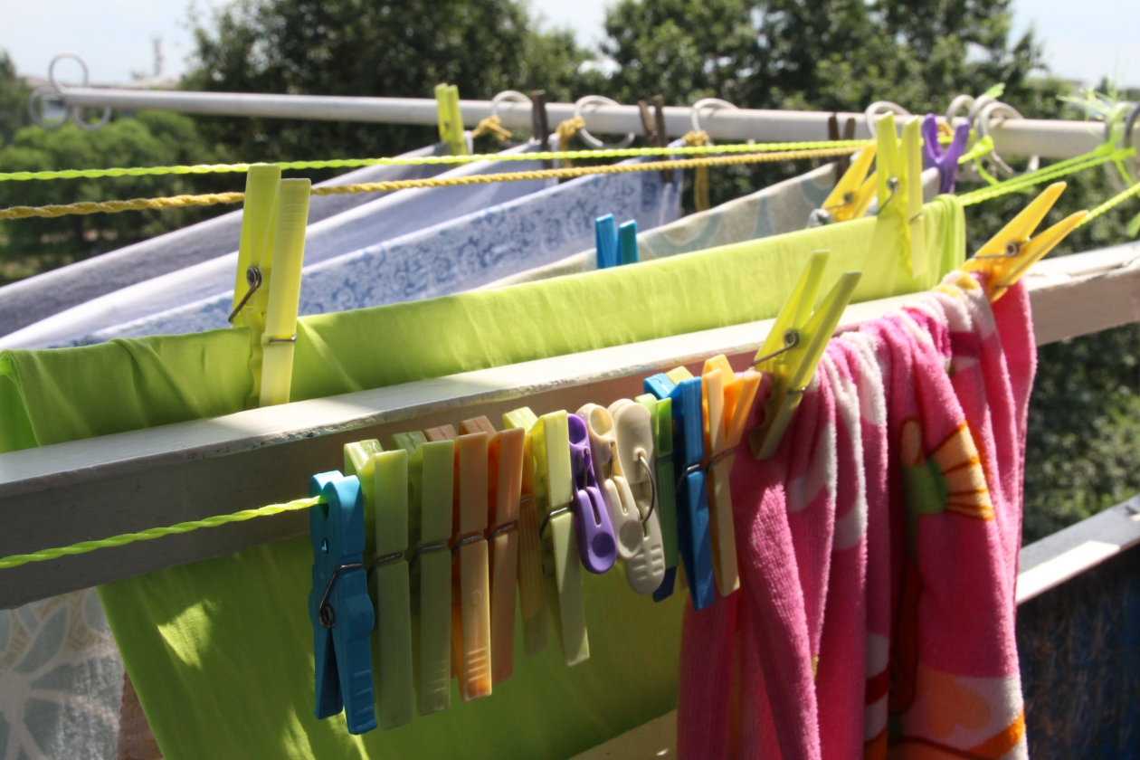 Тематическое фото ИА EAOMedia, Письменова Ксения