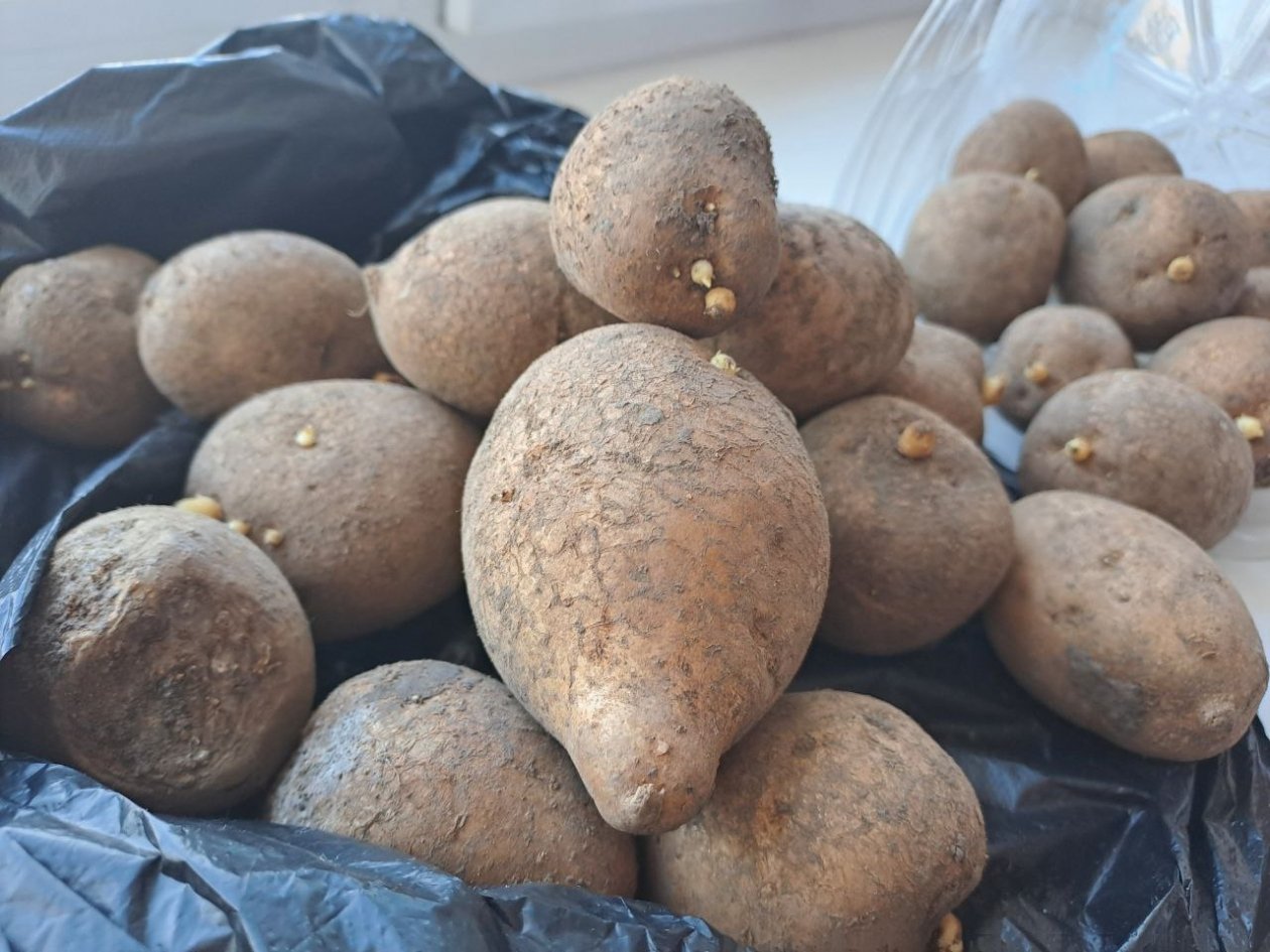 Тематическое фото Ольга Долгополова, ИА UssurMedia