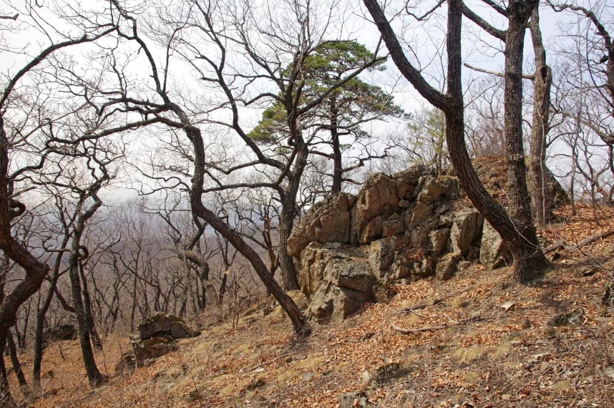 Евгений Ковешников
