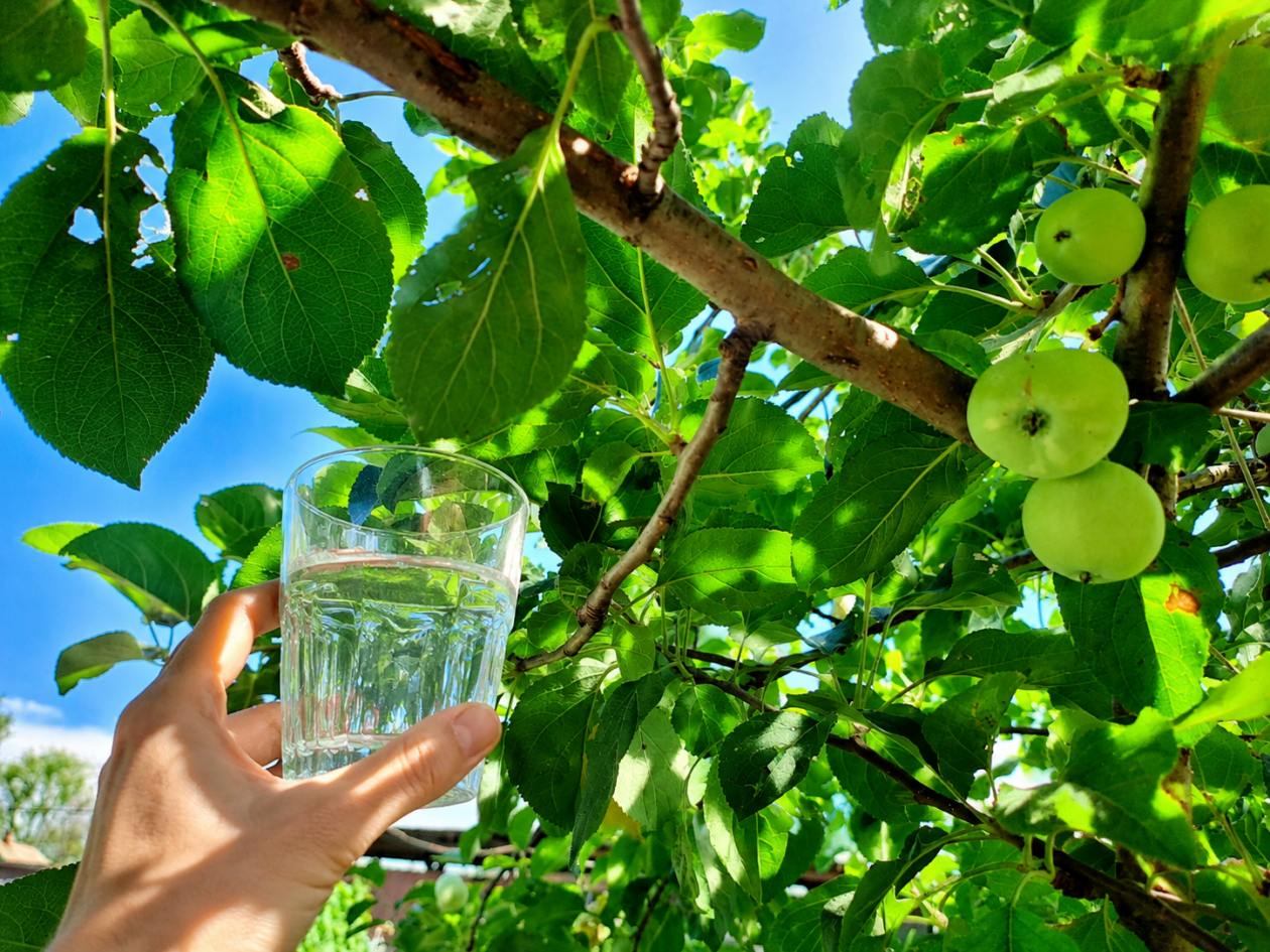 Тематическое фото Ольга Долгополова, ИА UssurMedia