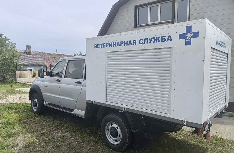 Скорая помощь животным стала быстрее в Приморье ветинспекция Приморья