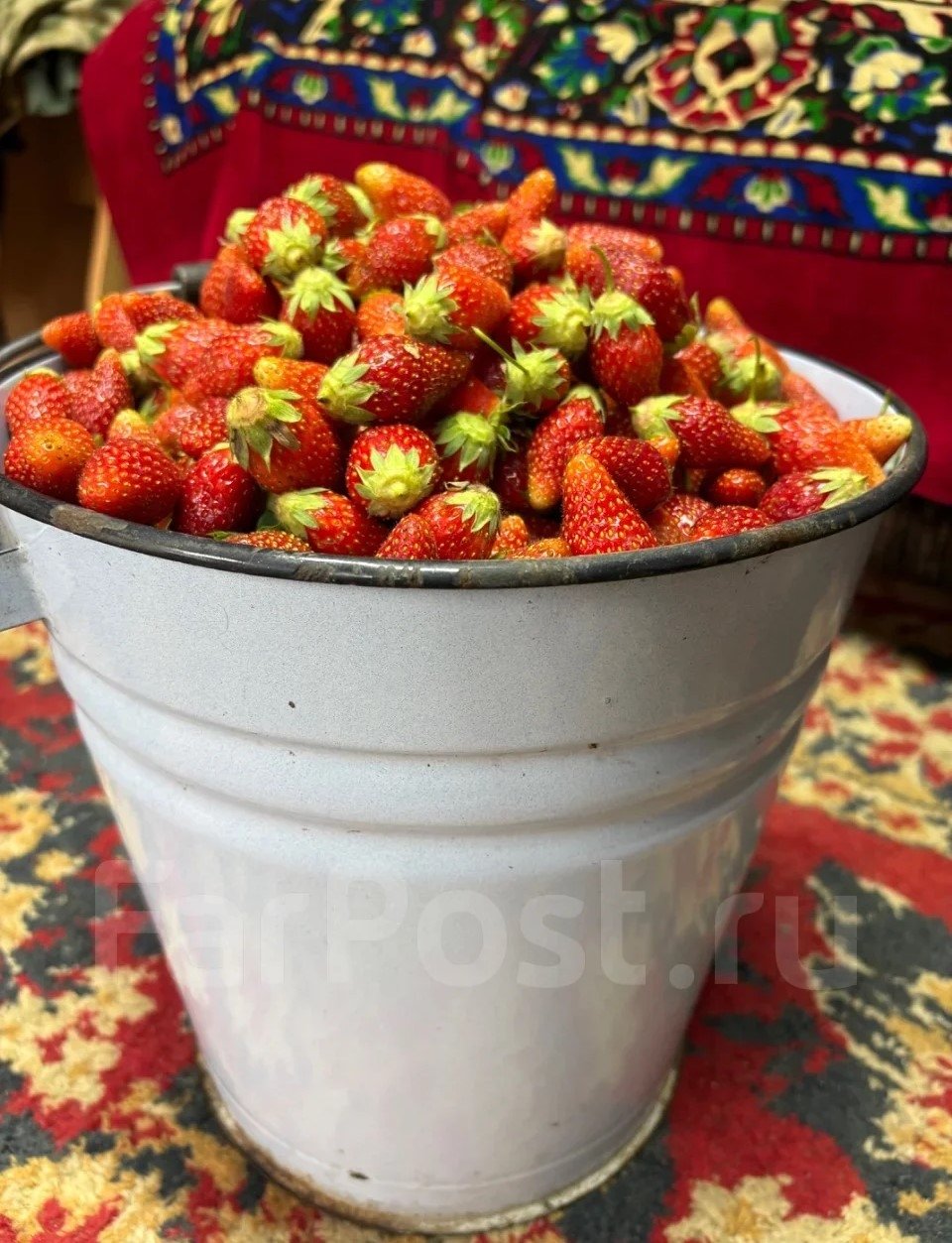 FarPost (16+)