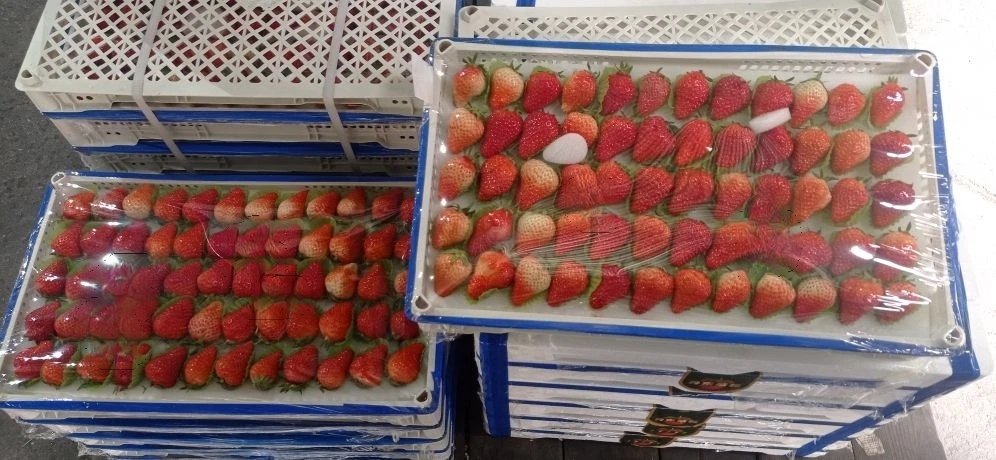 Клубника пресс-служба Уссурийской таможни