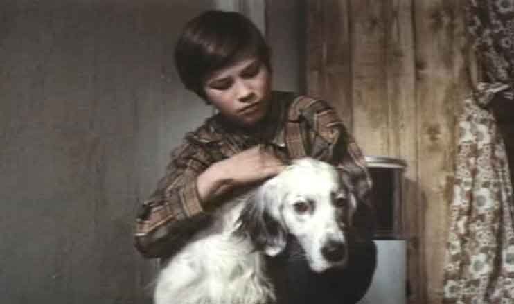 Тематическое фото кадр из фильма &quotБелый Бим Черное ухо&quot (12+), 1977 год
