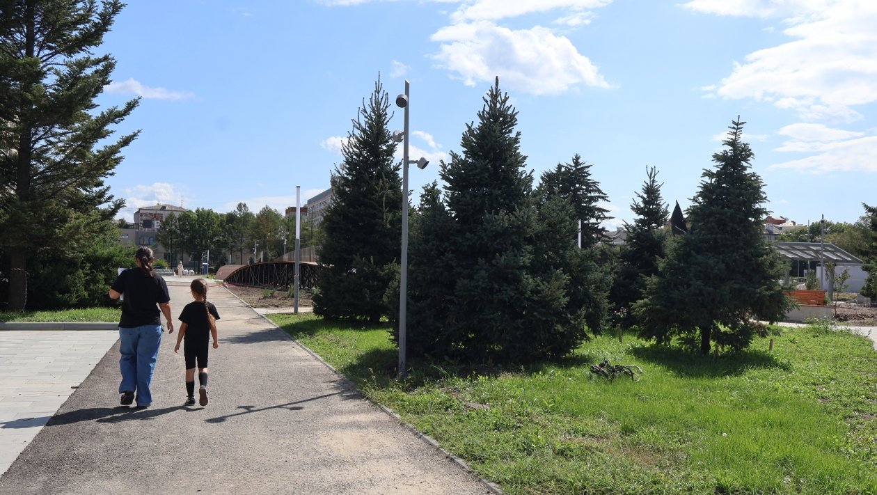 Озеленение центральной площади