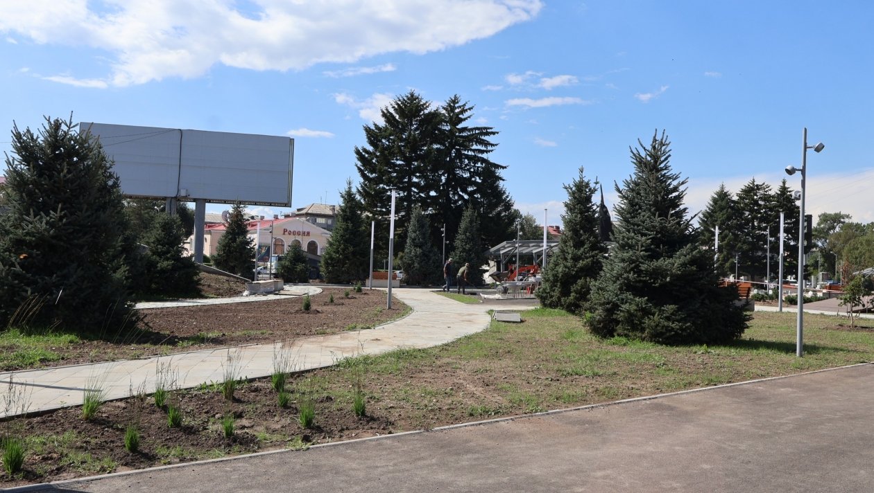 Озеленение центральной площади