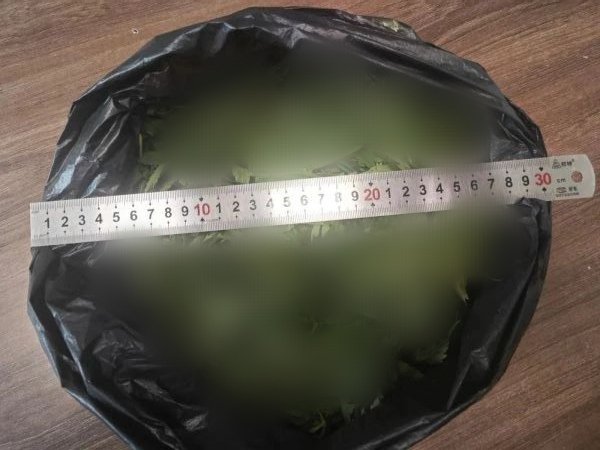 Вот такой мешок с травой нашли у студента
