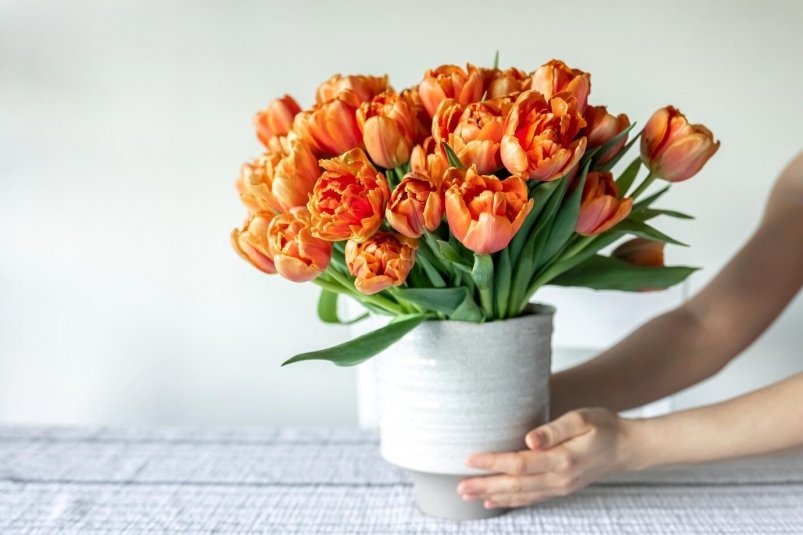 Как продлить жизнь букету - мартовские цветы простоят 2 недели в вазе дома