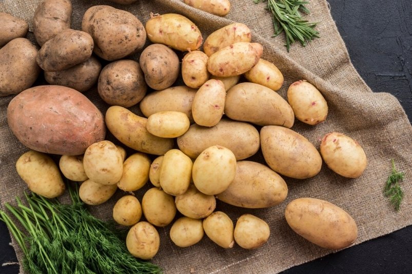 Мелочи не будет: как увеличить урожай картофеля на 30-40%