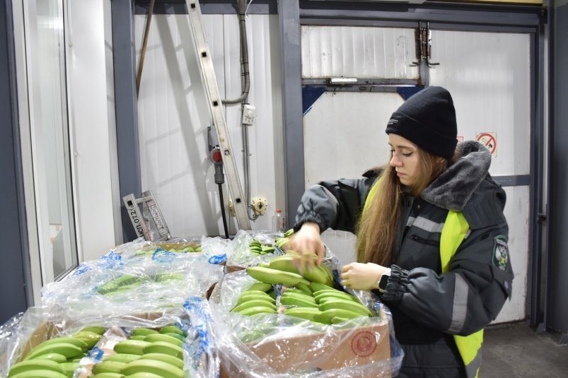 Импорт бананов из Эквадора в Приморье за неделю увеличился вдвое