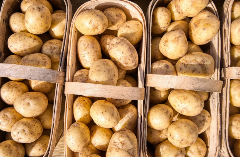 Картошечка попрет как на дрожжах: 7 секретов, которые помогут собрать 4 кг с куста