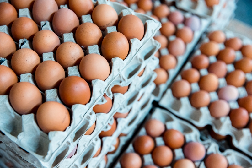 Цены упадут в мае: в Минсельхозе Приморья пообещали разобраться со стоимостью яиц