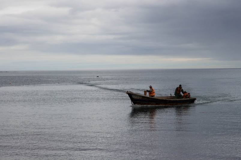 "Все фотать побежали": рыбаки не ожидали, что поймают в море во Владивостоке