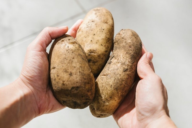 Увеличим урожай картофеля в 5 раз: понадобится только фольга