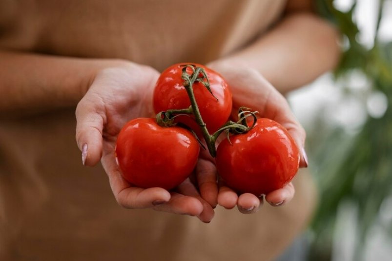 Этот 1 метод удобрения огорода используют 80% дачников - ни один помидор не выживет
