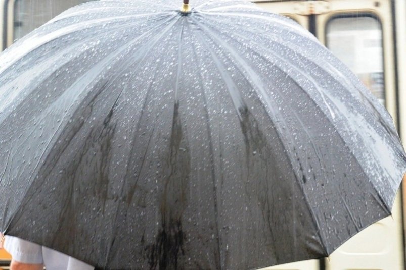Понадобится ли зонт на неделе уссурийцам: подробный прогноз (интерактивная метеокарта)