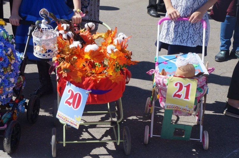 Парад колясок ко Дню семьи, любви и верности отменен в Уссурийске из-за дождя