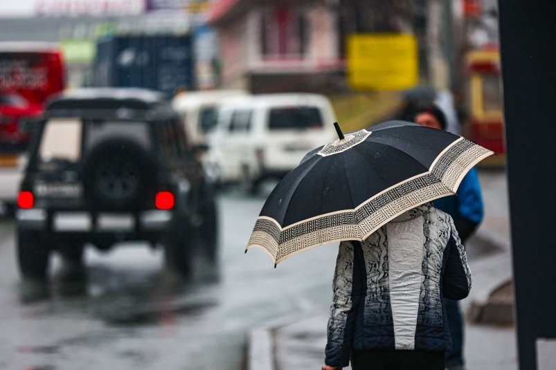 Отдохнули и хватит: ежедневные дожди ожидаются на неделе в Уссурийске