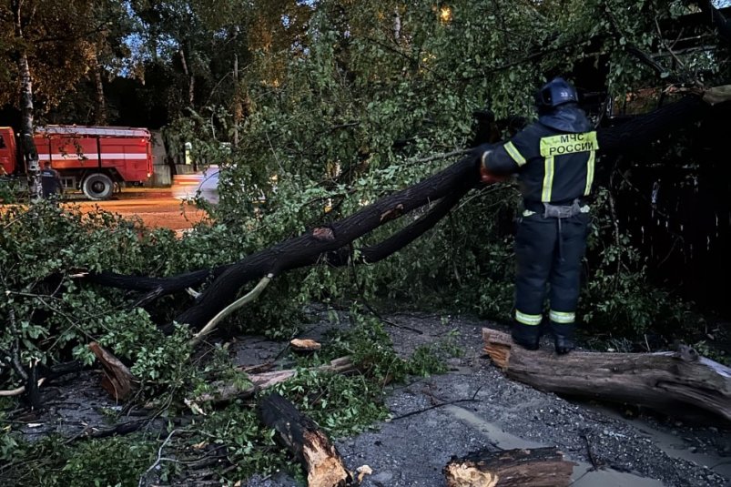 Более 30 поваленных деревьев разобрали спасатели с дорог и ЛЭП Уссурийска