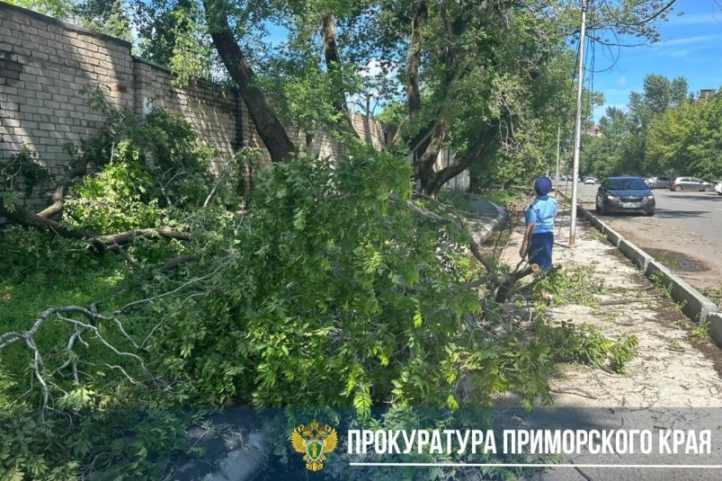 Ликвидация последствий ливня в Уссурийске на контроле городской прокуратуры