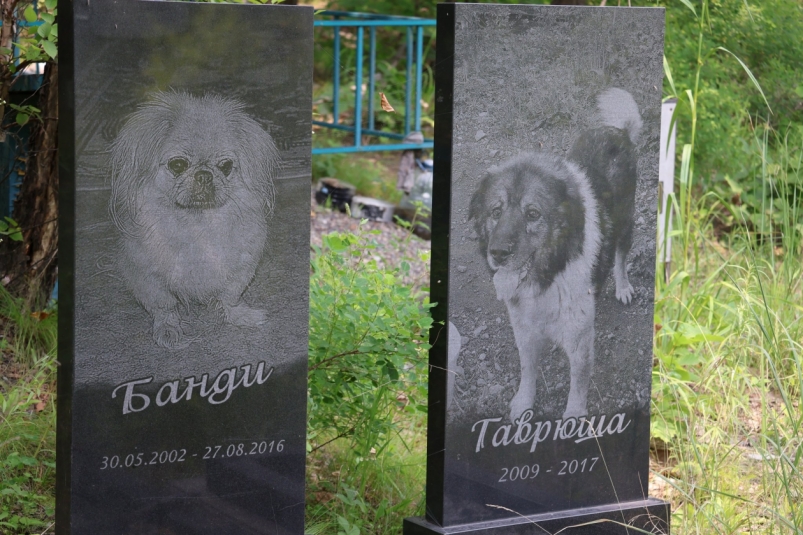Вечно спи, любимый Муся: тайны уссурийского кладбища домашних животных