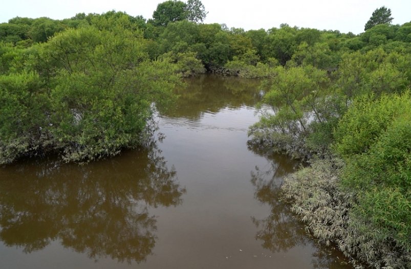 В минГОЧС рассказали, когда уровень воды в реках Приморья пойдет на спад