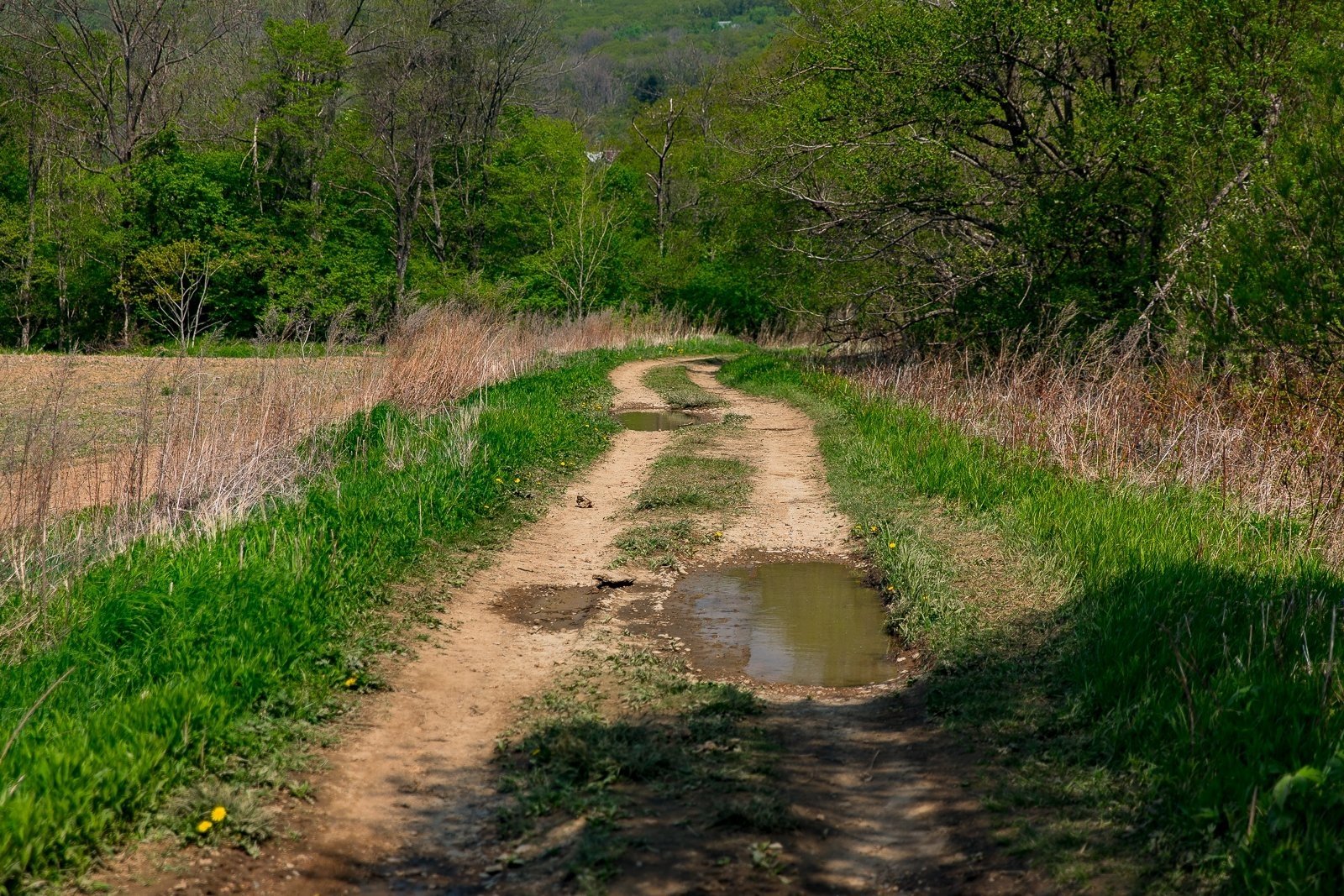 Тематическое фото Илья Аверьянов, ИА PrimaMedia