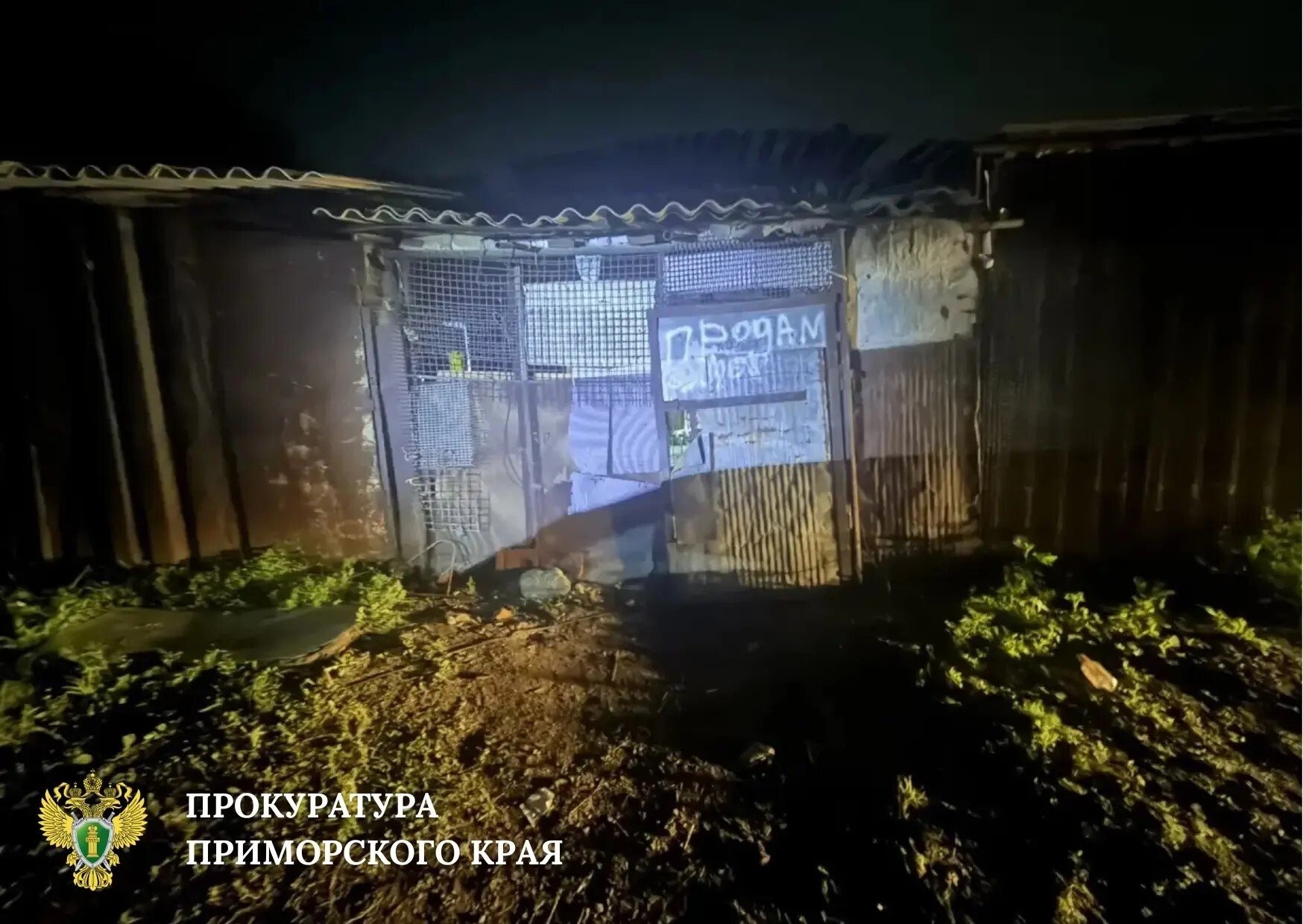Сарай, куда отвезли школьника прокуратура Приморского края в МАХ (12+)