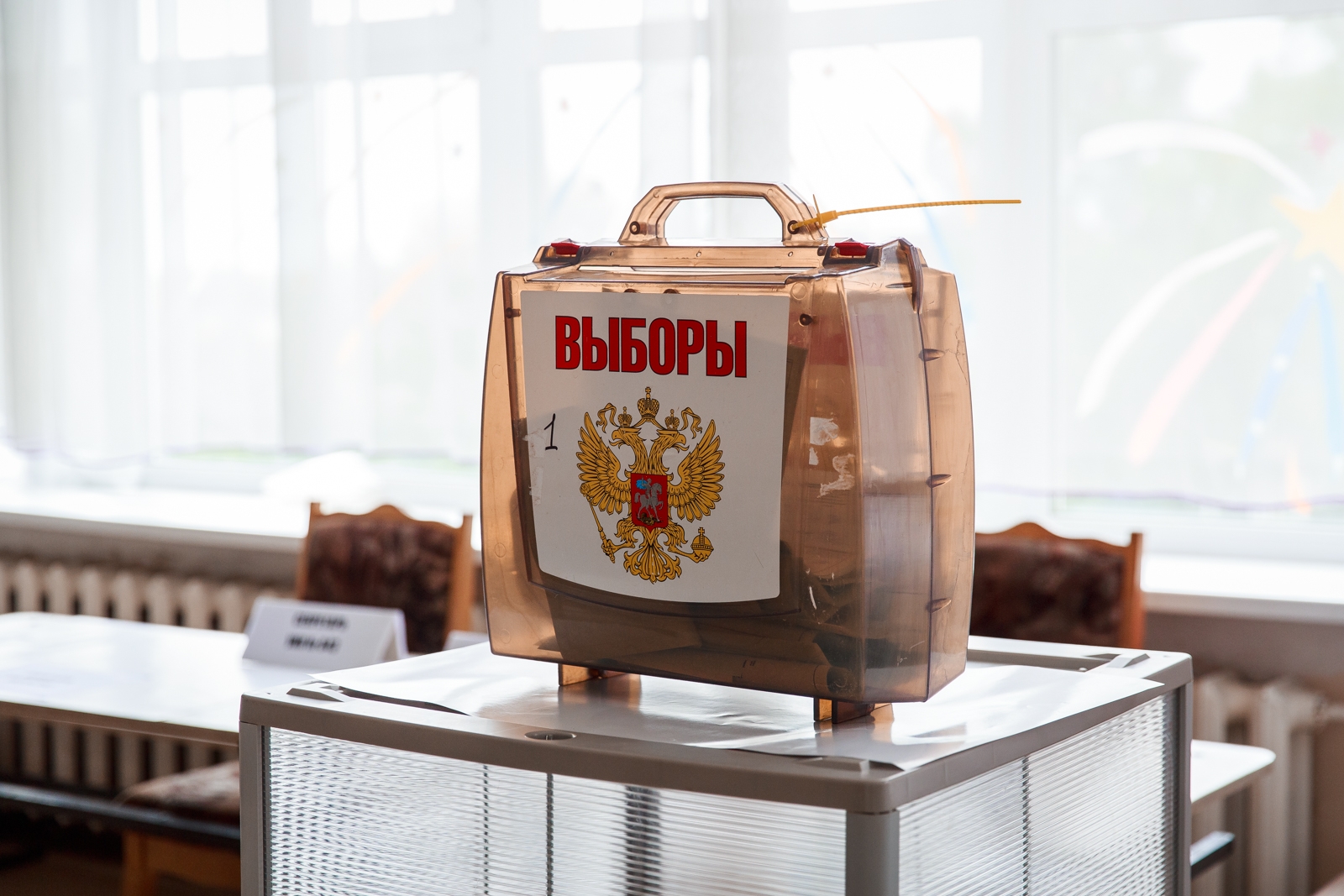 Выборы Илья Аверьянов, ИА PrimaMedia